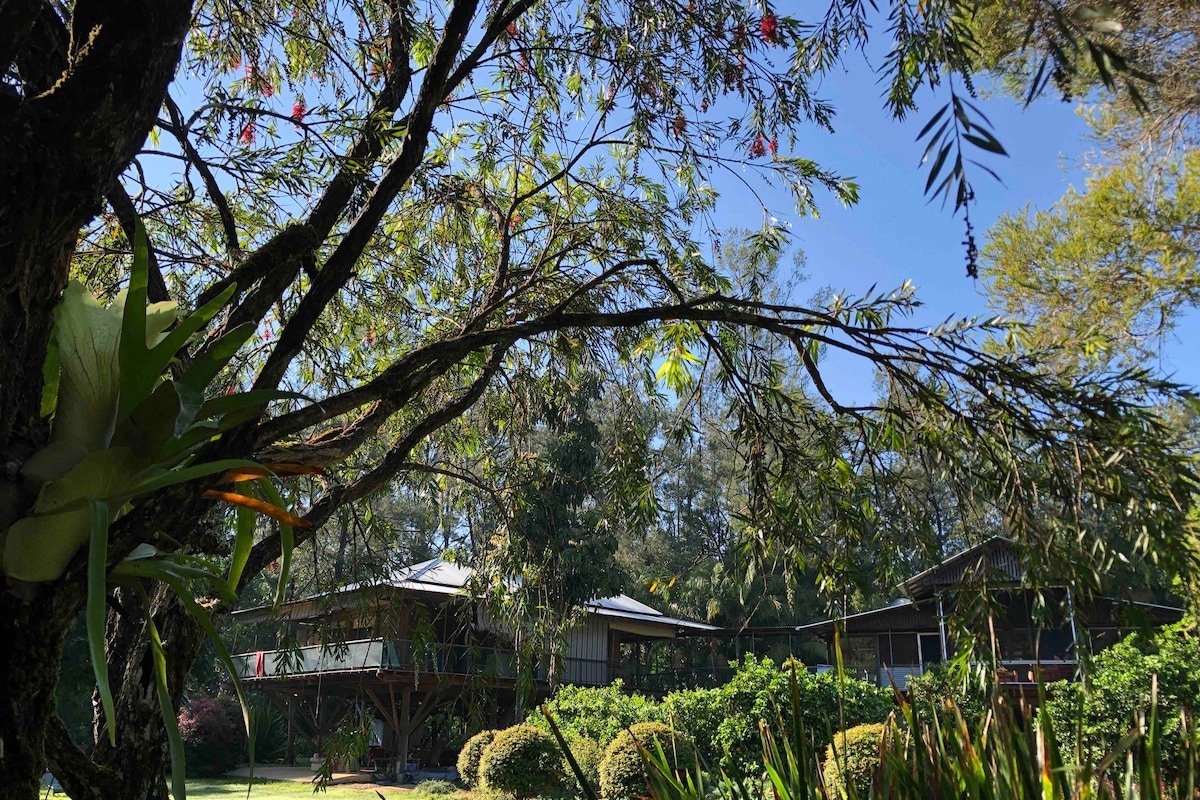 River Room Bellingen Treehouse for Groups gallery image 3