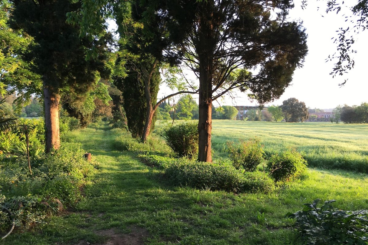 Maravillosa masía en entorno idílico gallery image 5