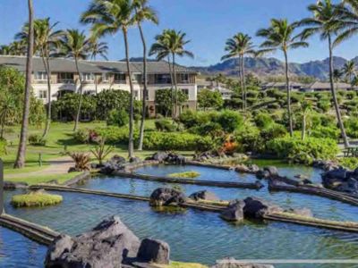 Come for the Holidays 2/2 Kauai Dreams