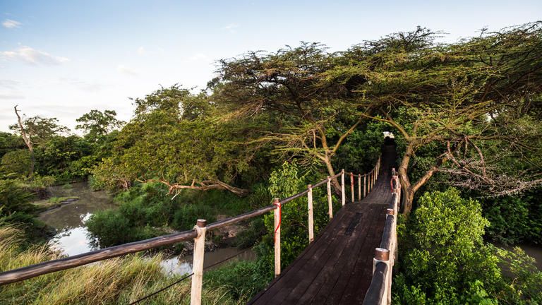 Mara Plains Entry Bridge - Mara Plains Entry Bridge
