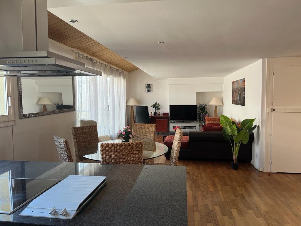 Superbe appartement proche du lac et de la Gare