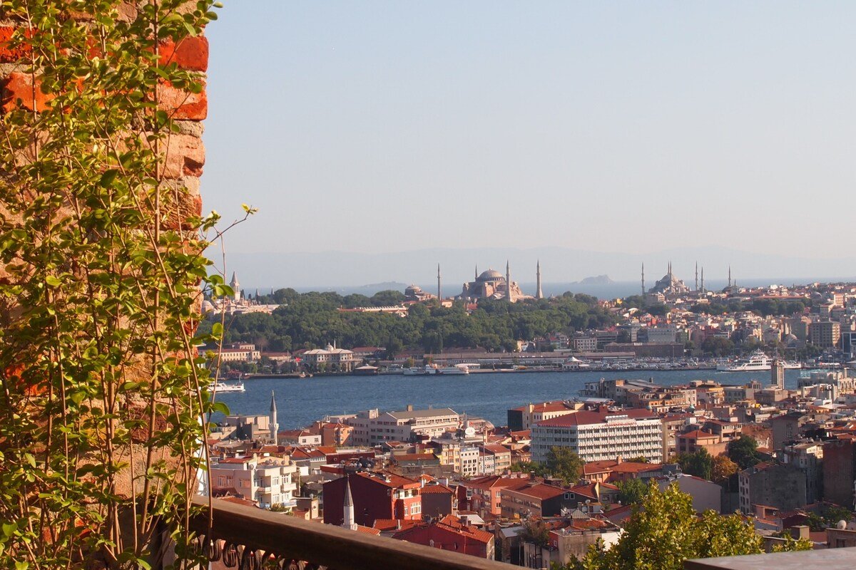 Penthouse Beyoglu: Elevator/lift-Terrace-View-AirC gallery image 3