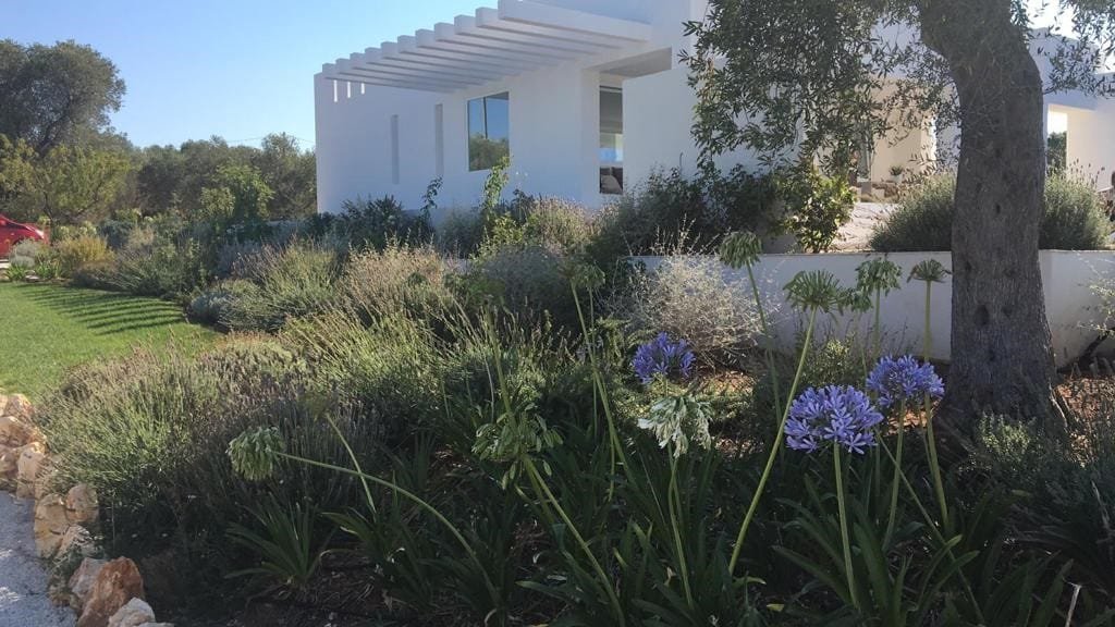 AMAZING ARCHITECTS VILLA SEA VIEW gallery image 4