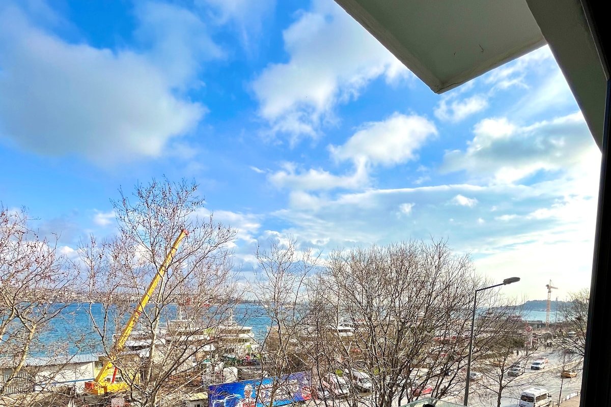 Amazing Bosphorus View Apartment1 gallery image 4