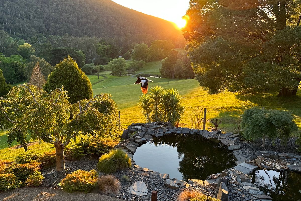 Warburton Valley&Golf Club View