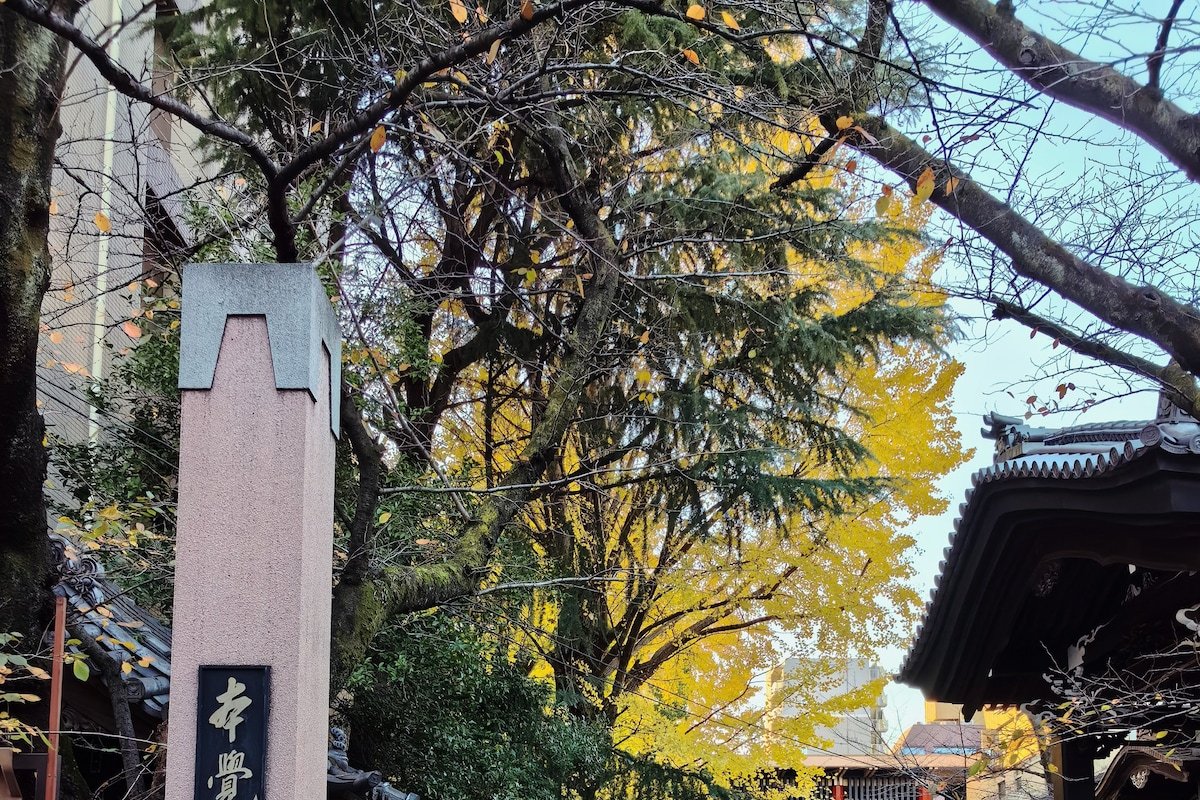 全新浅草寺附近温馨别墅4LDK民宿，台东区浅草天空树 gallery image 5