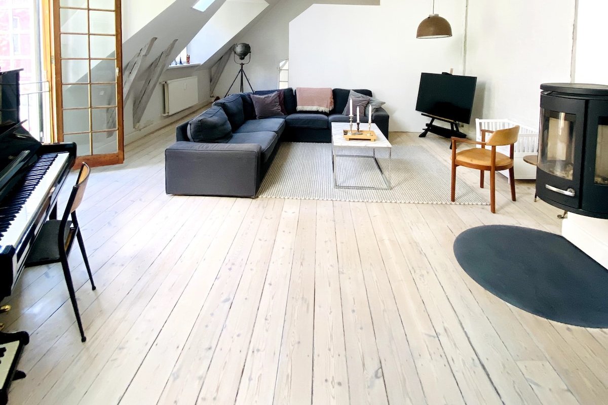 Nyhavn/central /Huge private & quiet roof terrace gallery image 3