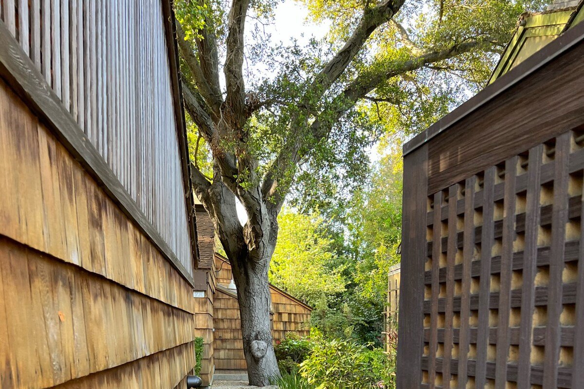 A Rockridge oasis steps from the center of it all gallery image 4