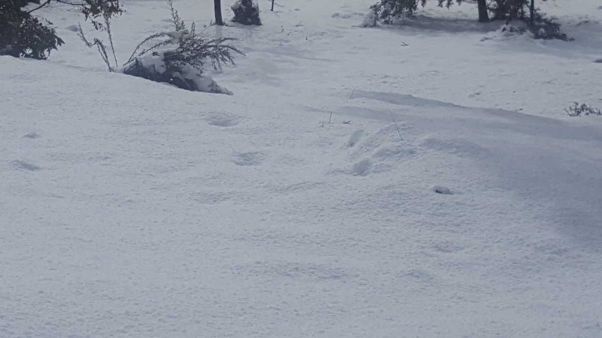 Cradle Cottage gallery image 2