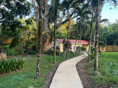 8 BR jungle lodge perfect for touring maya ruins