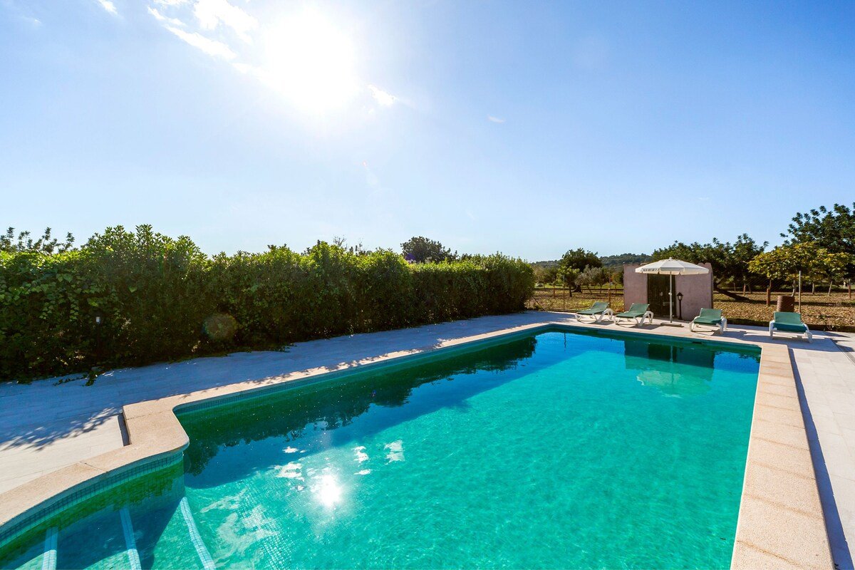 Villa Tabou gallery image 3