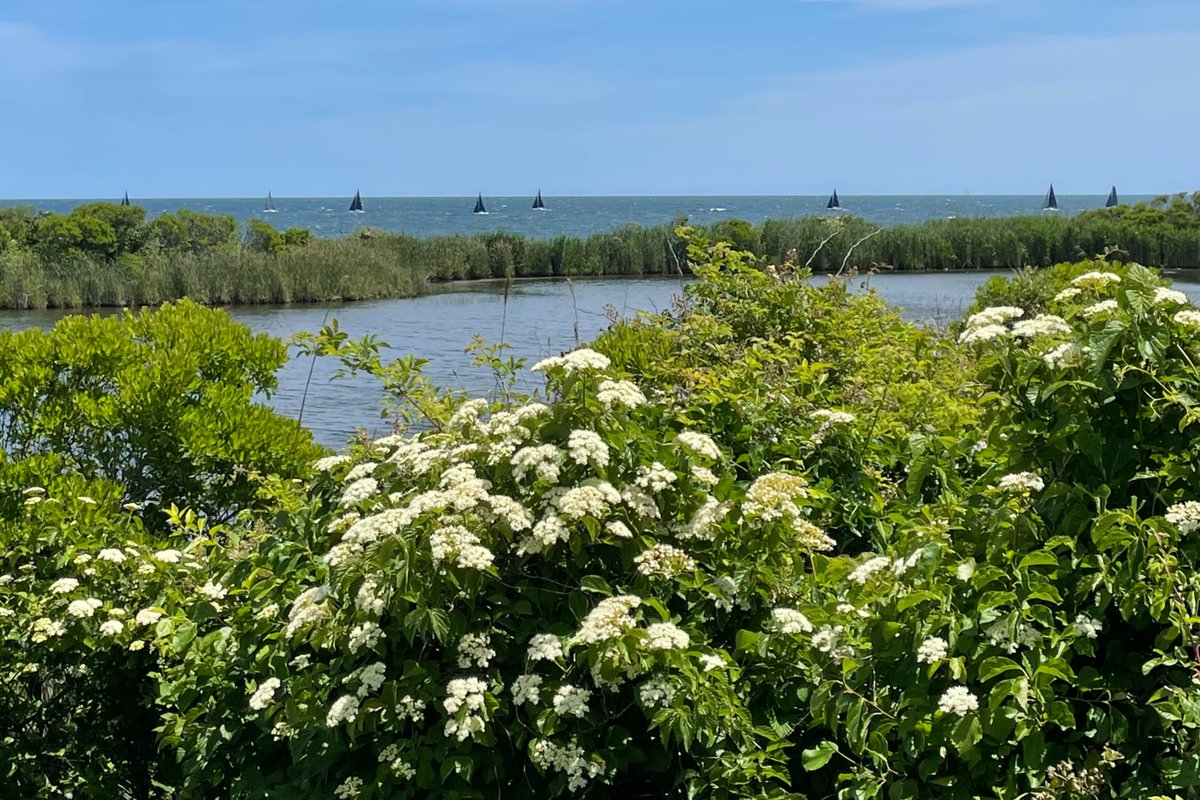 Sea Breeze Inlet Cottage, 3 Room Suite