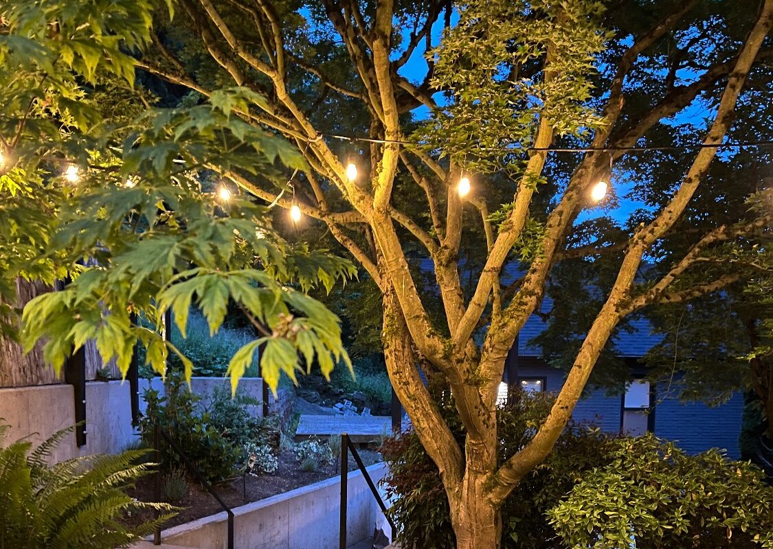 The Del-Ritz gallery image 4