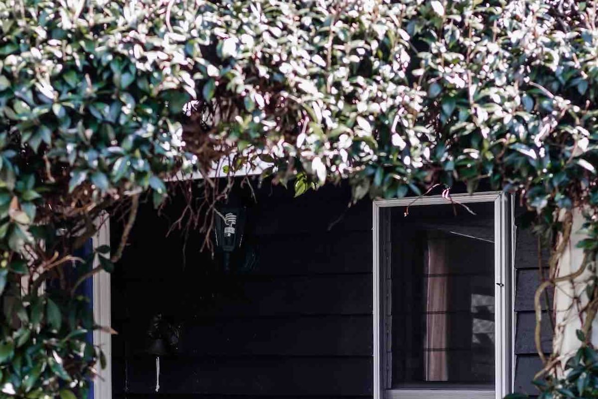 Bahche Hinterland gallery image 3