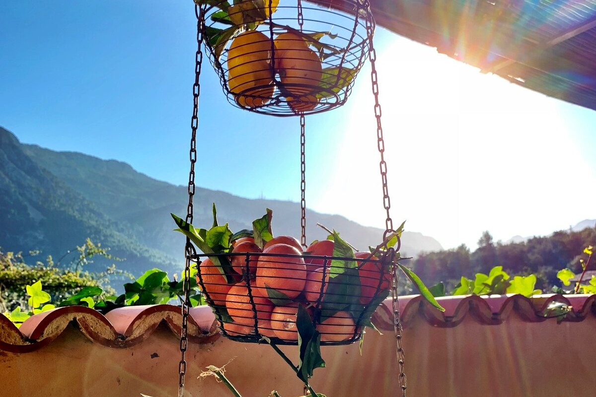 Beautiful house in Fornalutx – large swimming-pool gallery image 4