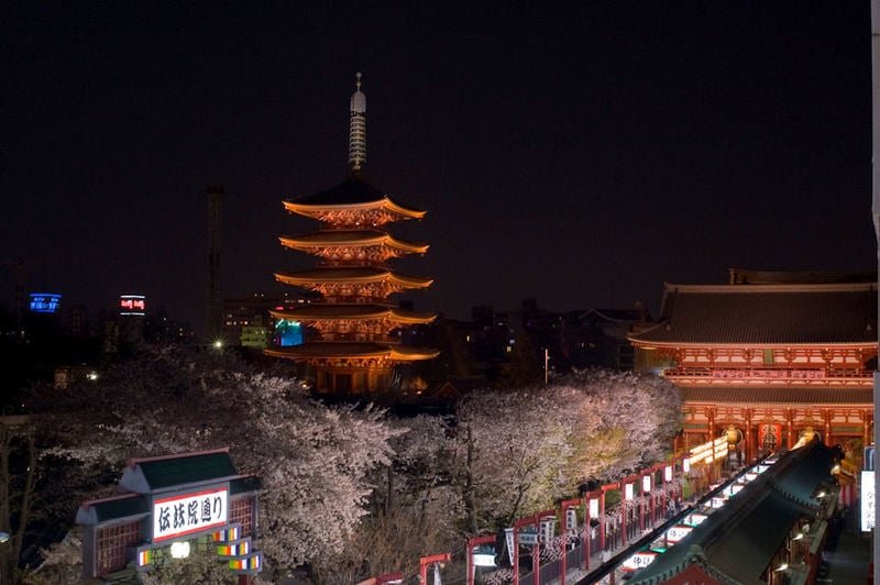 Airport pick-up&drop off service Asakusa New house gallery image 2