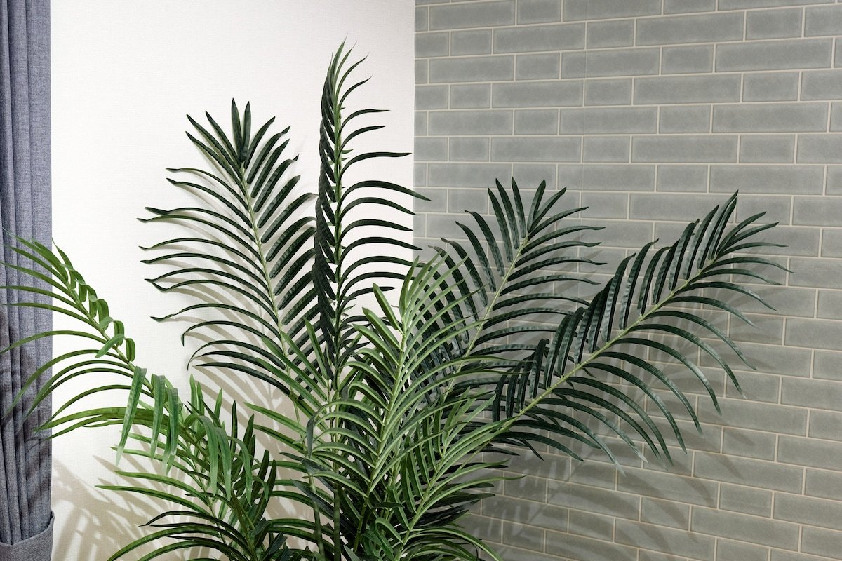 10-Min Hatagaya Sta / 100㎡/3LDK3 Bedrooms, 7 Beds gallery image 4