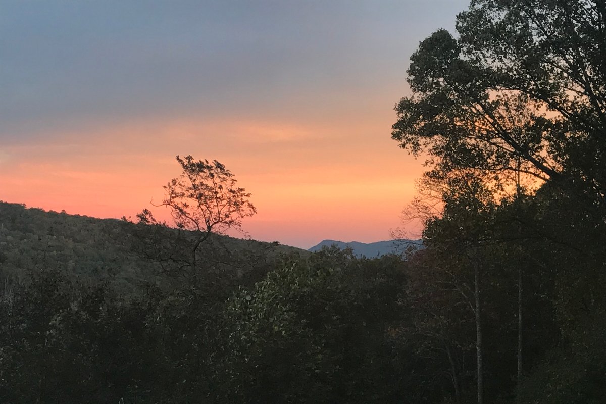 Mountain views close to everything in Asheville!