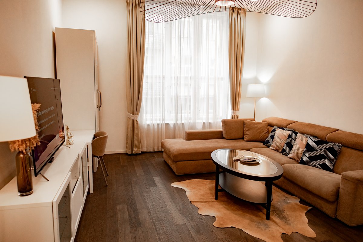Luxury Apartment in Old Town Prague 1