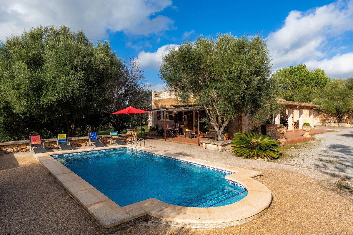 Cocotte gallery image 2