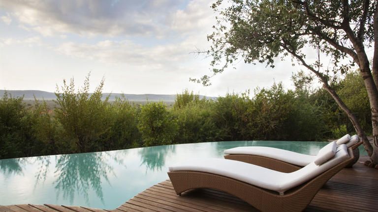 Molori Safari Lodge Molelo Presidential Suite (Sleeps 4)