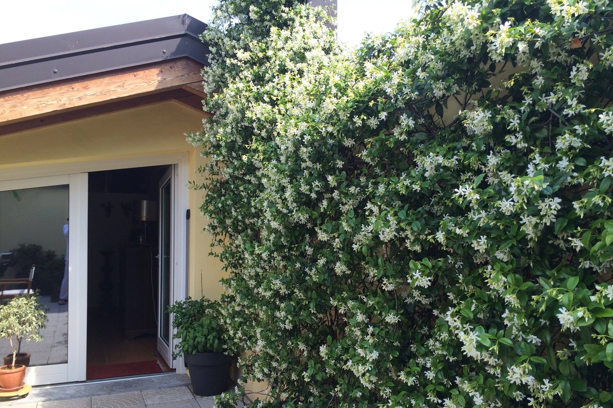 Confortevole appartamento in zona centrale