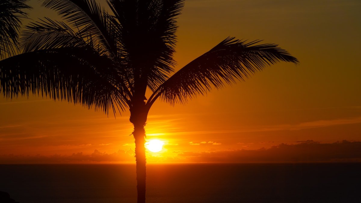 PiH Endless Ocean Views at Stunning Mauna Kea gallery image 4