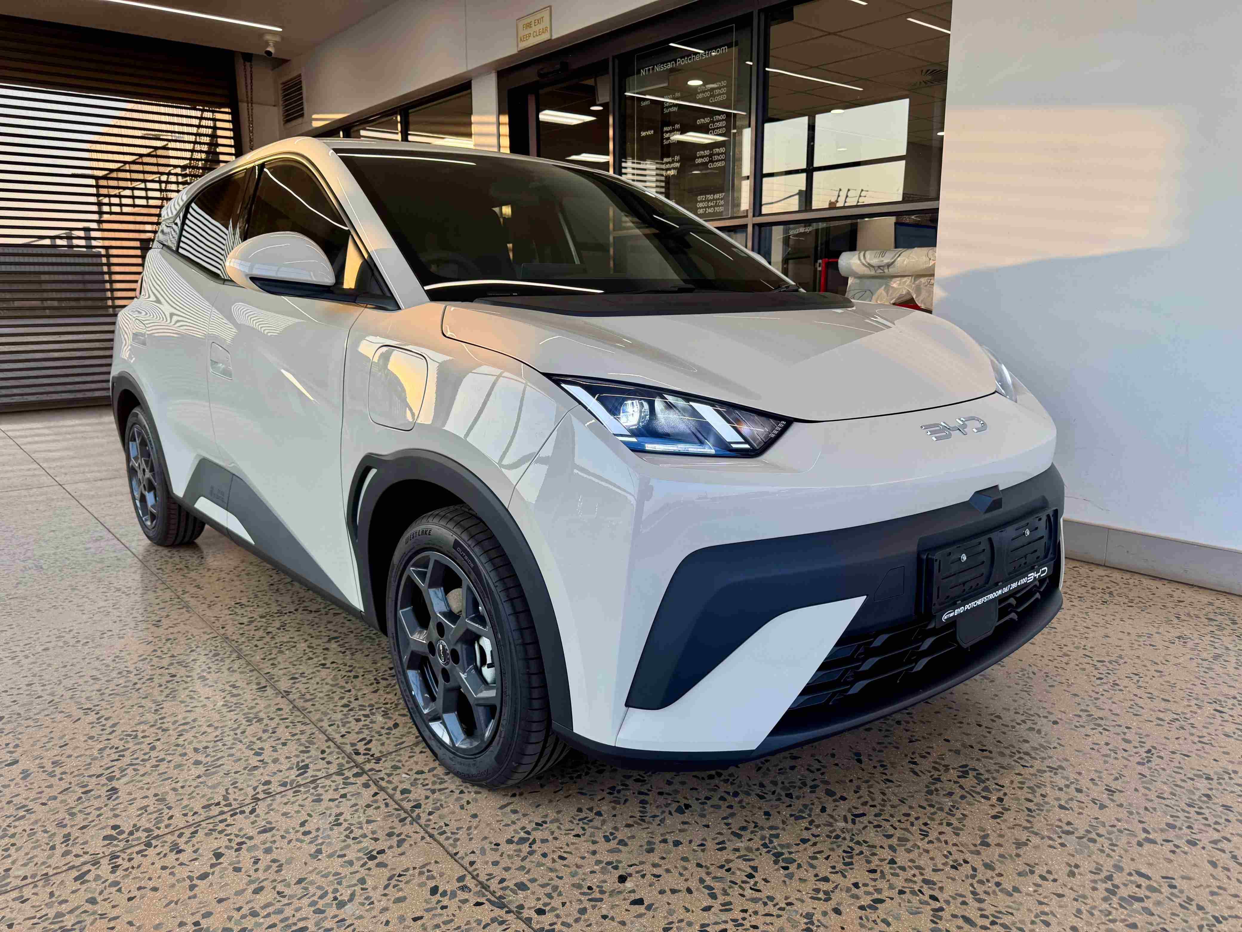 BYD DOLPHIN SURF DYNAMIC for Sale in South Africa