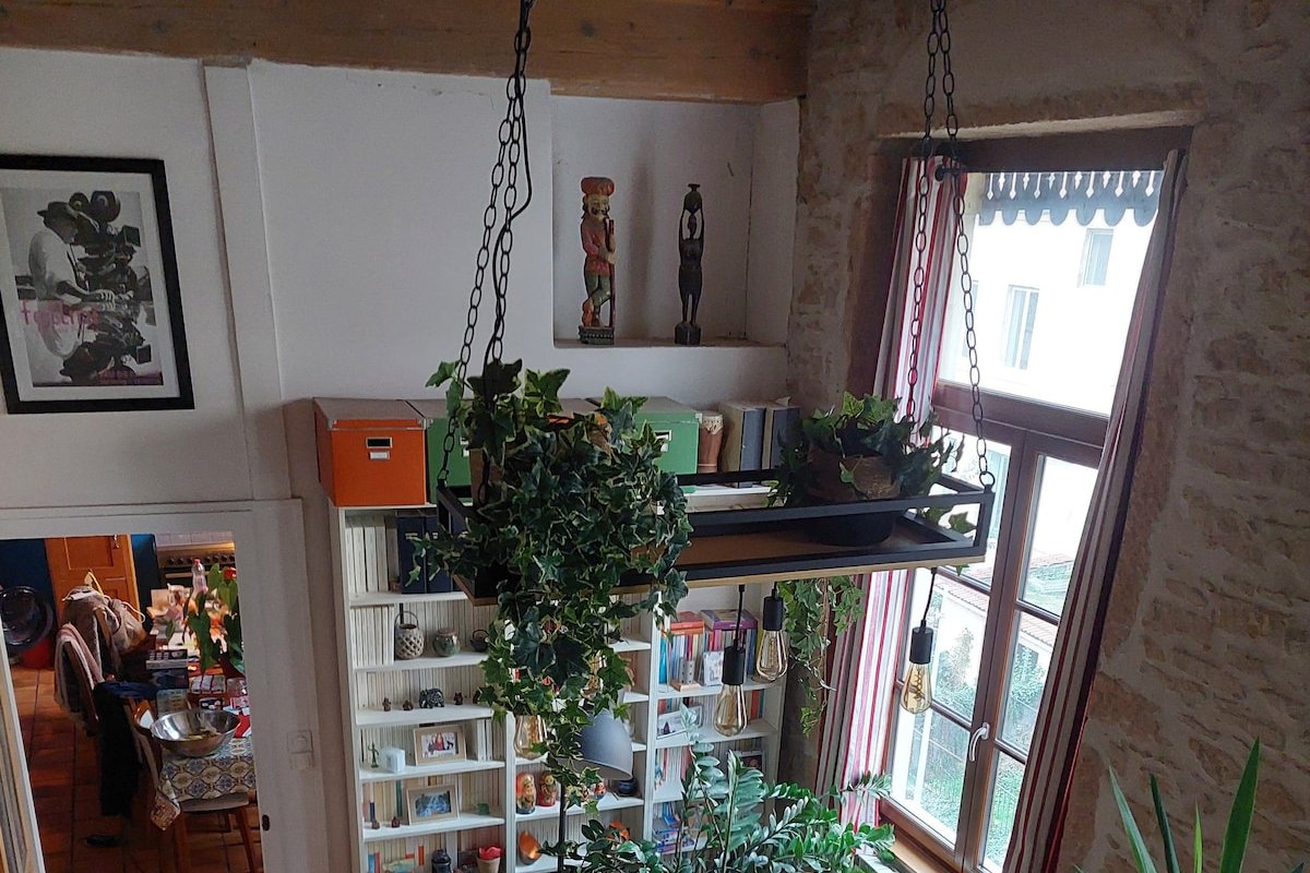 Spacious apartment in the district of Croix rousse gallery image 2