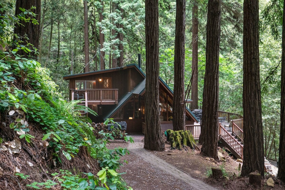 Redwood Retreat – 191203 gallery image 2