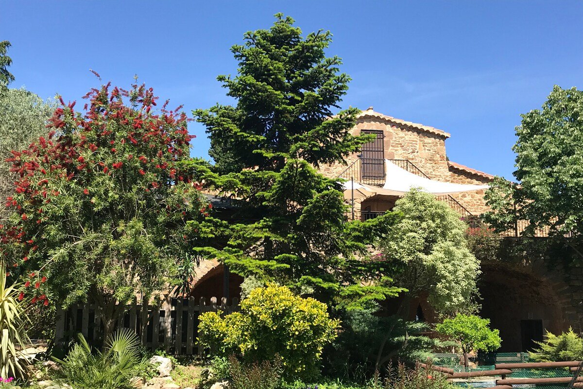 Mascaros large house with pool gallery image 4