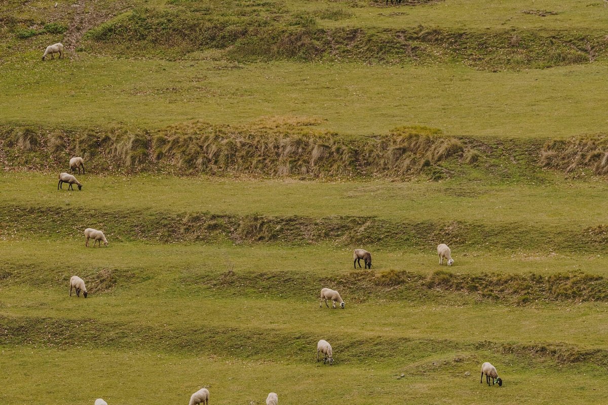 10th century medieval Castle gallery image 5