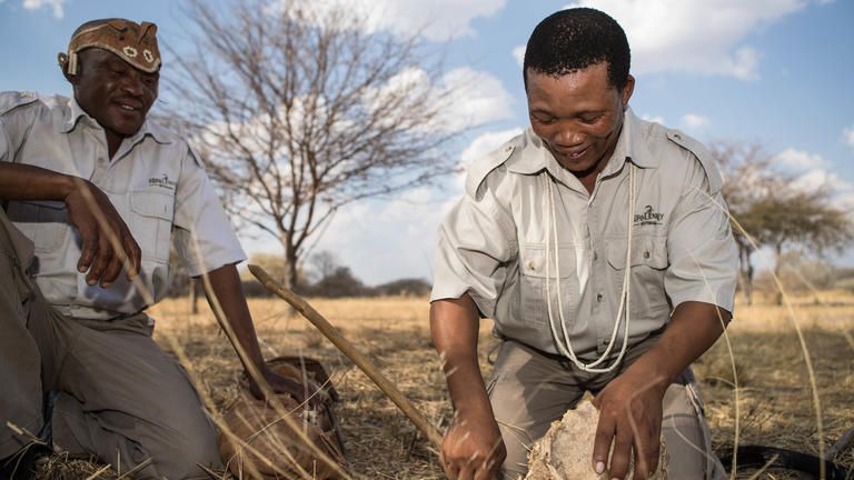 Activites - Educational Walk with the San Bushman