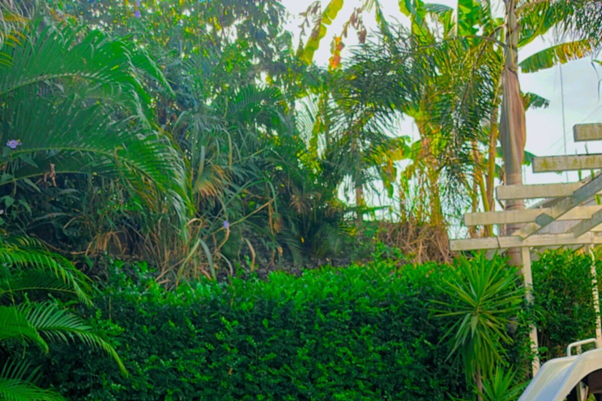 Carnaval 2026 CASA com Lago, Cinema e Piscina gallery image 4