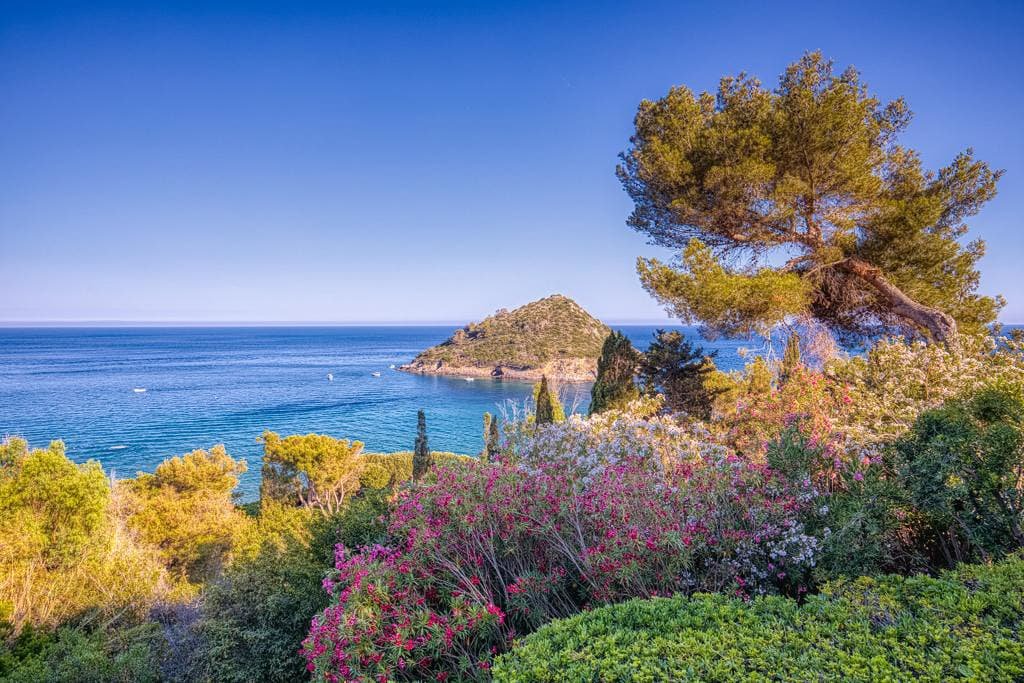 The View Experiences – A window to the Tuscan sea