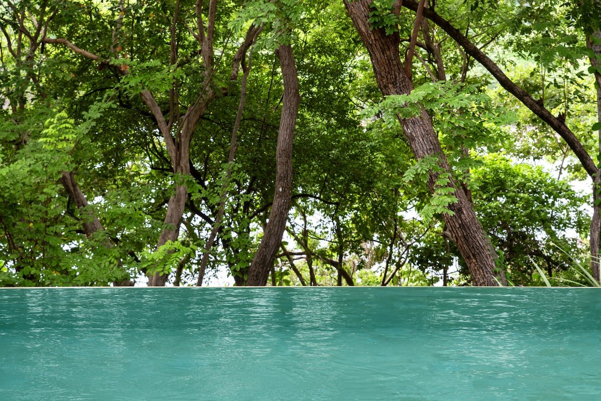 Oceanside Villa With Pool & Terrace -Casa Pelicano gallery image 5