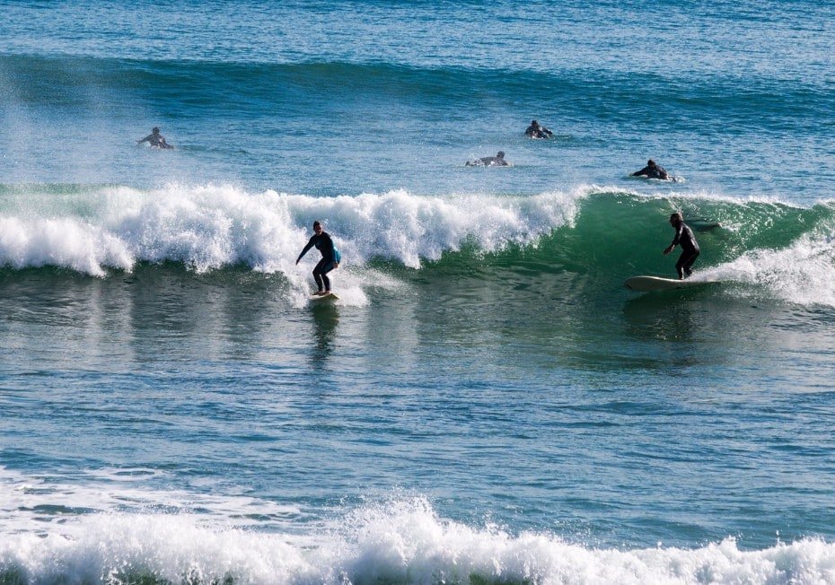 Family & Pets Oceanview Retreat – Beach Walks gallery image 4