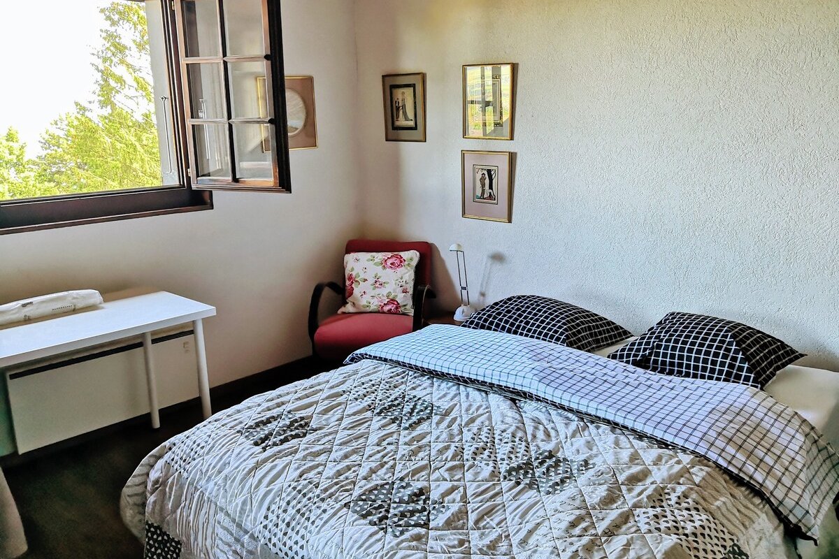 Arzier House, Alps View, 30 min to Geneva/Lausanne gallery image 4