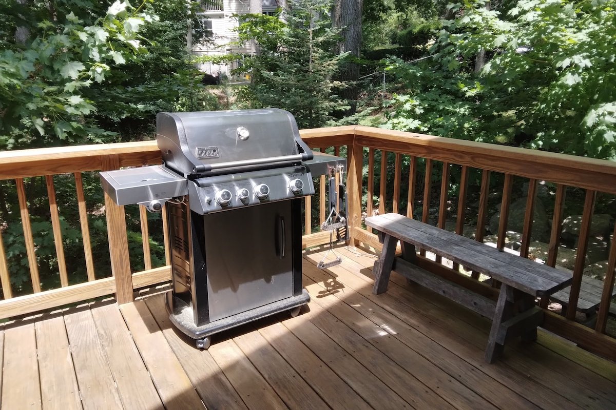 Large, sunny hilltop home, nature lovers’ paradise gallery image 5