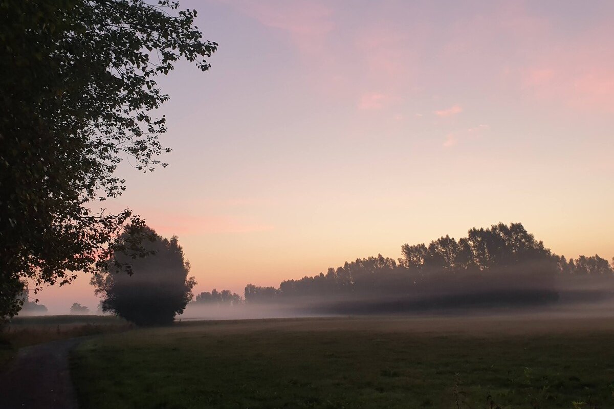 Nyte estate. Rural familyhouse (4-12p) near Ghent. gallery image 4