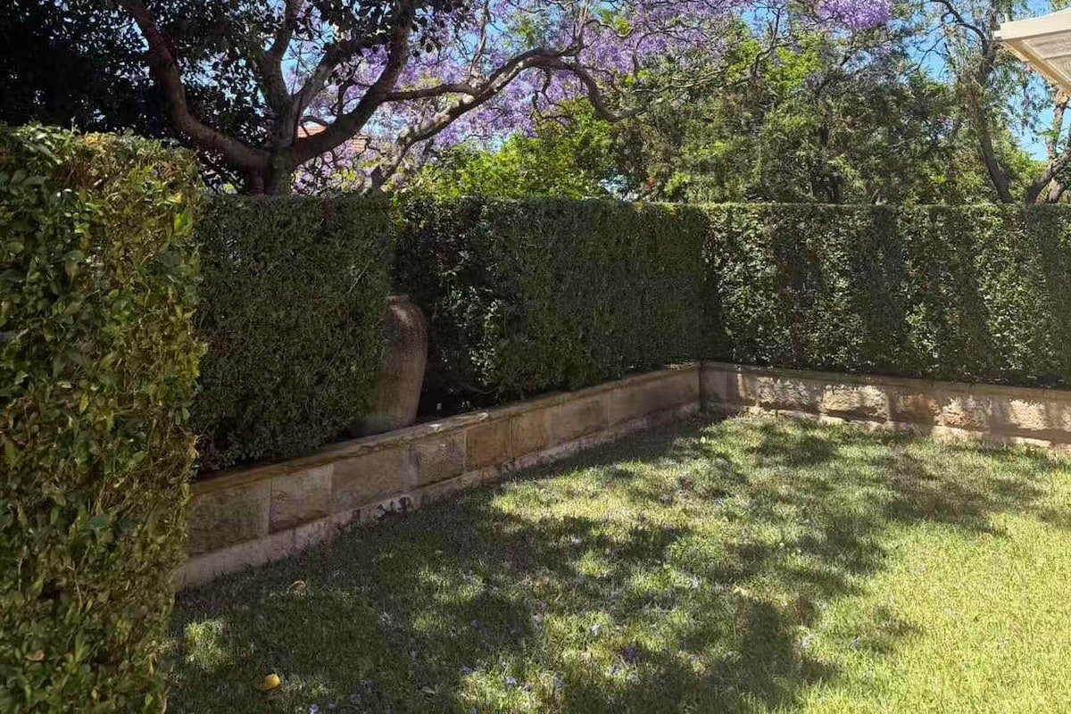 Sydney Cremorne Point Leafy Oasis Steps to Harbour gallery image 5