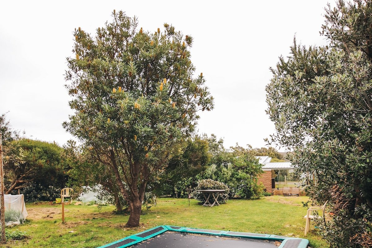 Craypot Cottage – Port Campbell, Victoria gallery image 4