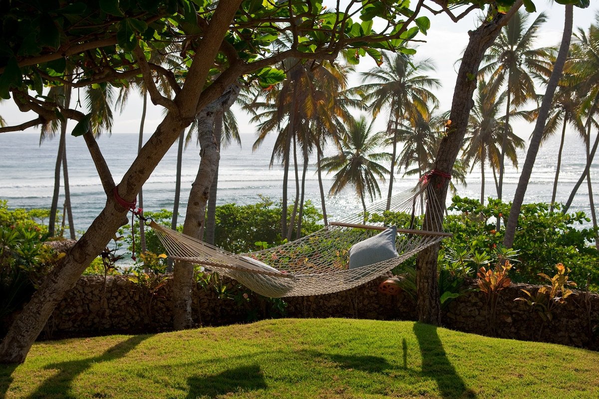 Flor de Cabrera gallery image 4