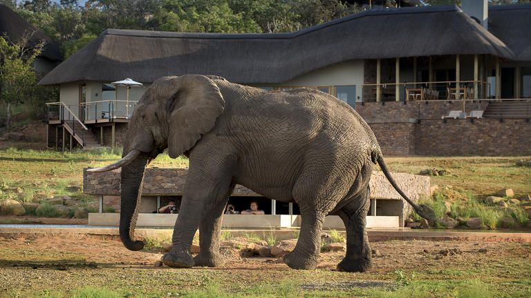 Mhondoro Safari Lodge and Villa - Underground Photographic Hide with Main lodge in background