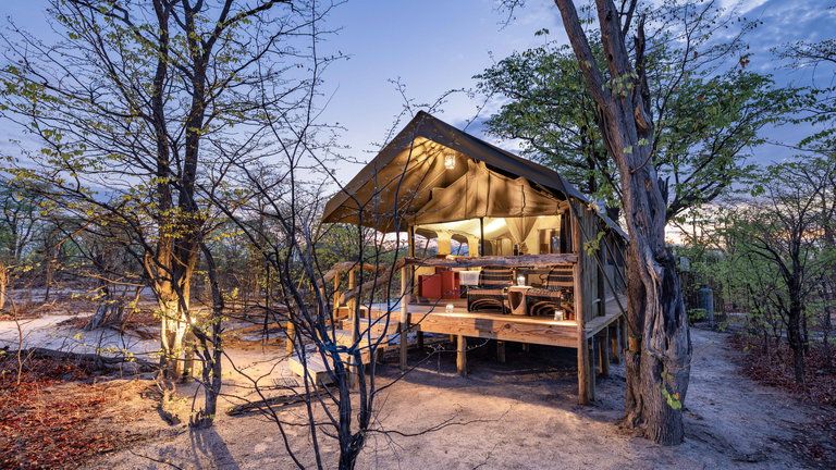 Elephant Pan Twin/Double Tents