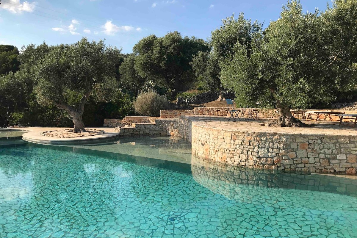A paradise among olive trees gallery image 2