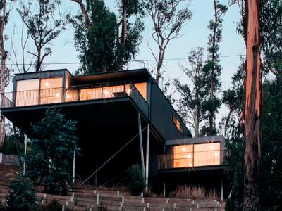 WYE UP – amongst the treetops