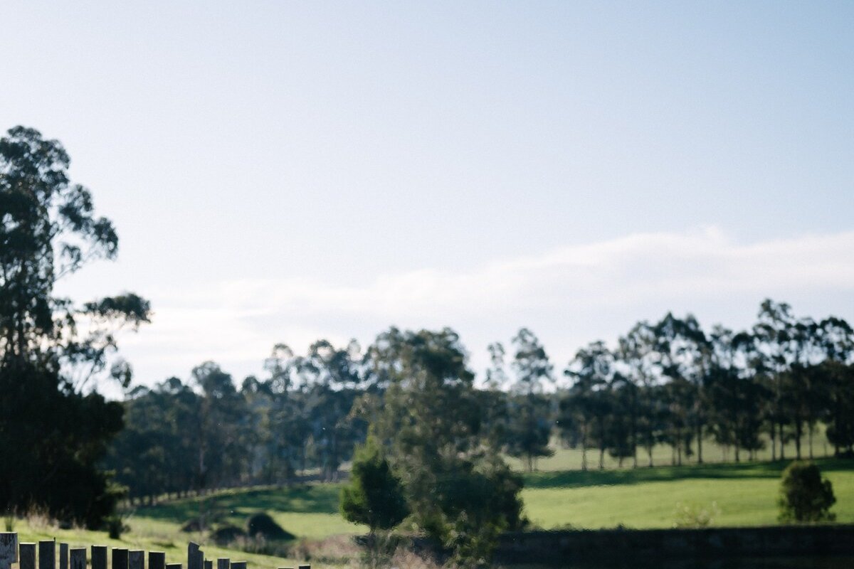 The Farmhouse – Southwest Luxury Farmstay gallery image 3