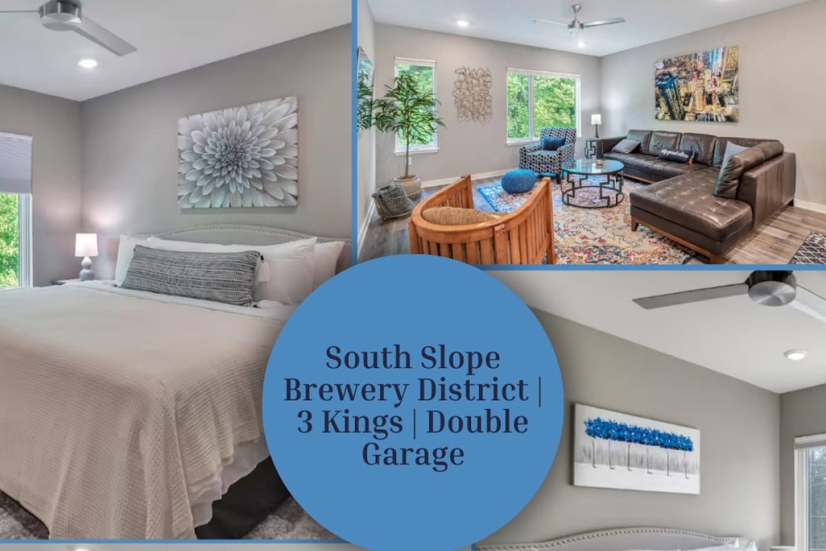 Asheville Proud South Slope Townhome gallery image 2