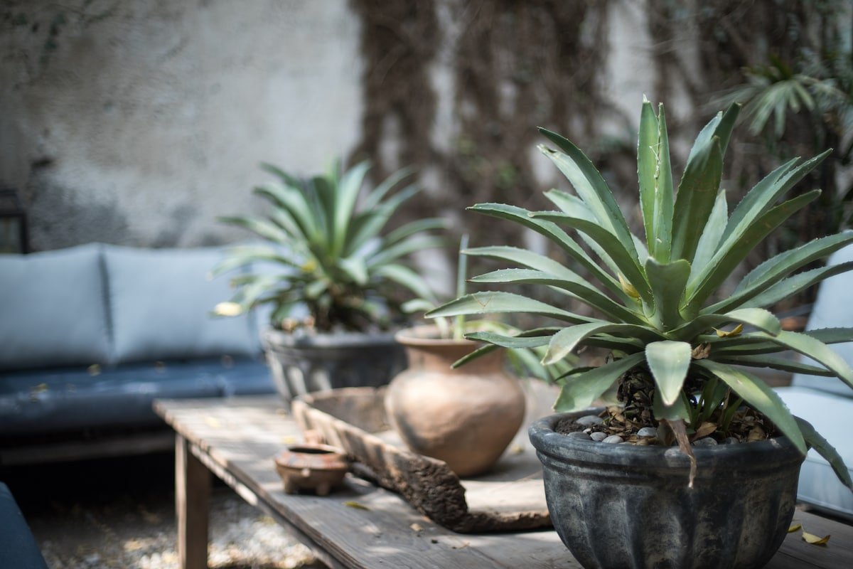 “La Roma House” Hip, Trendy and Unique gallery image 4